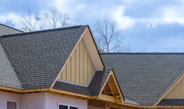 Best Sheet Metal Roofing  in Paddock Lake, WI