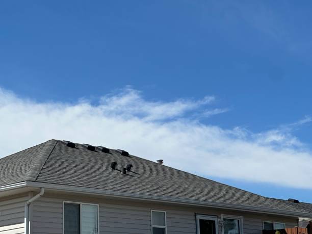 Best Asphalt Shingles Roofing  in Paddock Lake, WI